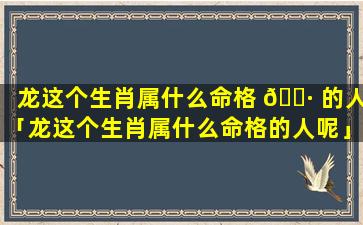 龙这个生肖属什么命格 🌷 的人「龙这个生肖属什么命格的人呢」